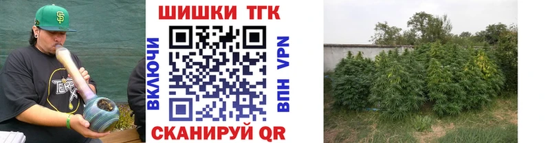Купить где  Гусиноозёрск  Бошки марихуана SATIVA & INDICA 